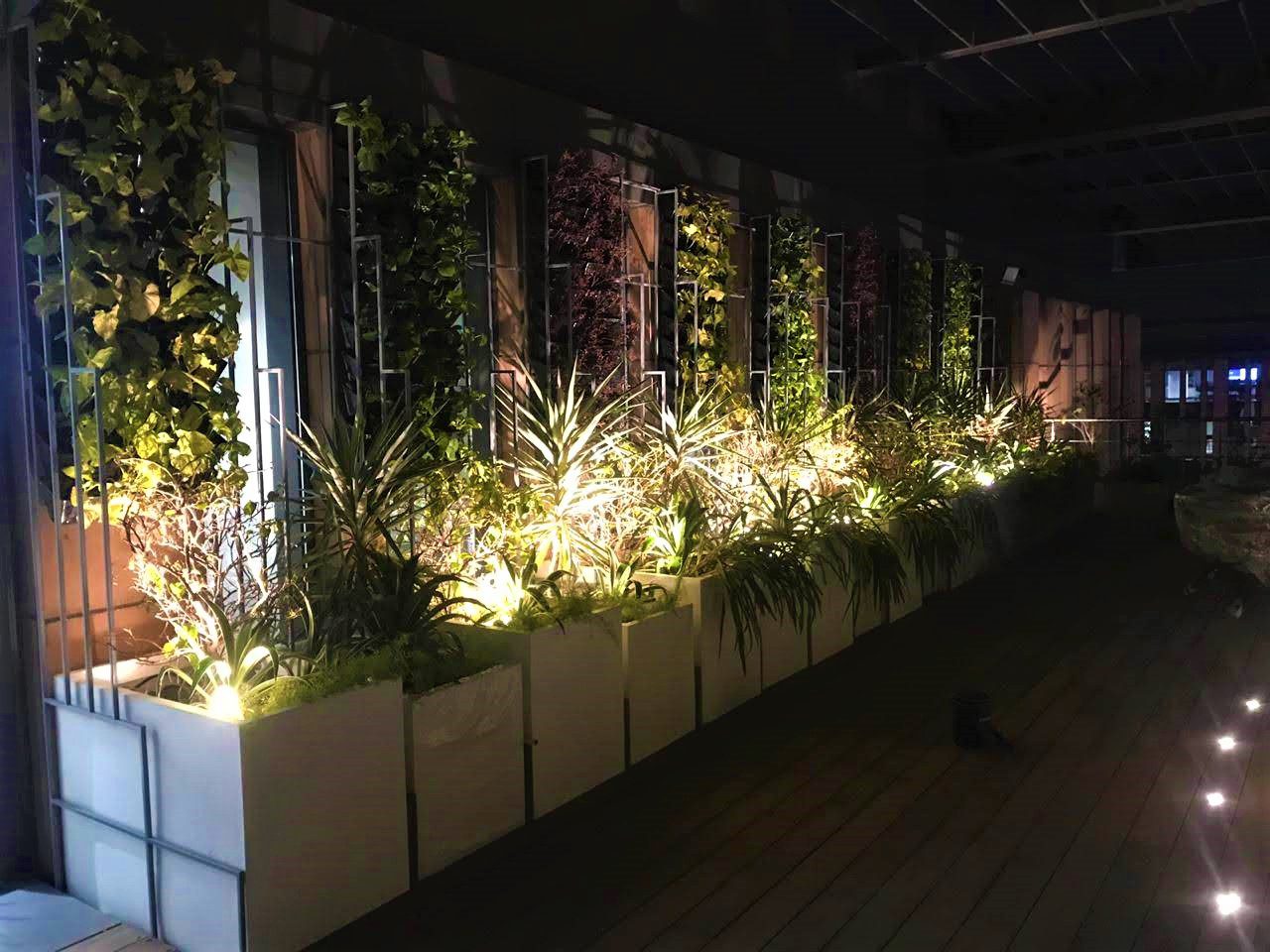 IFC Terrace · New Delhi