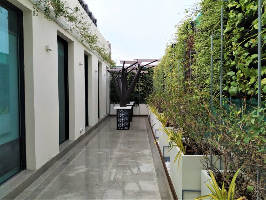 IFC Terrace · New Delhi
