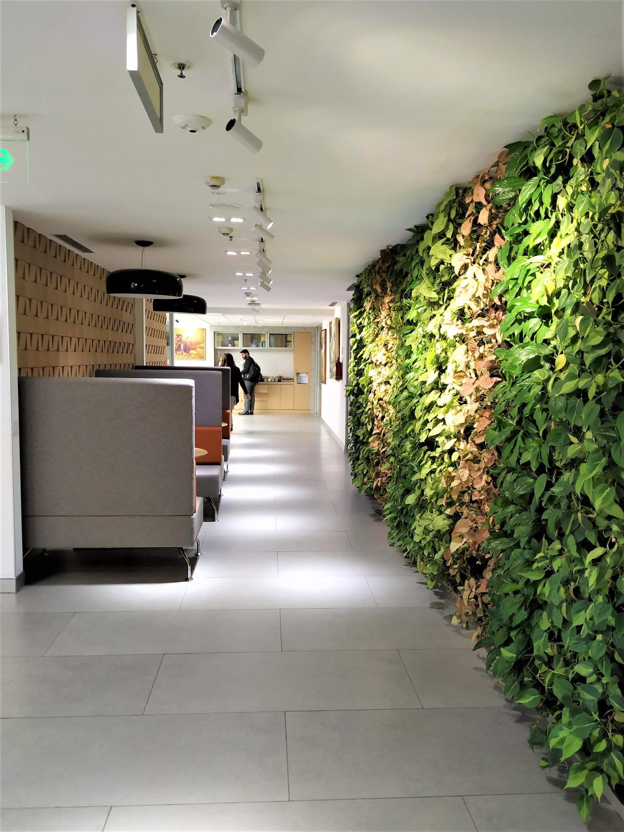 IFC Terrace · New Delhi