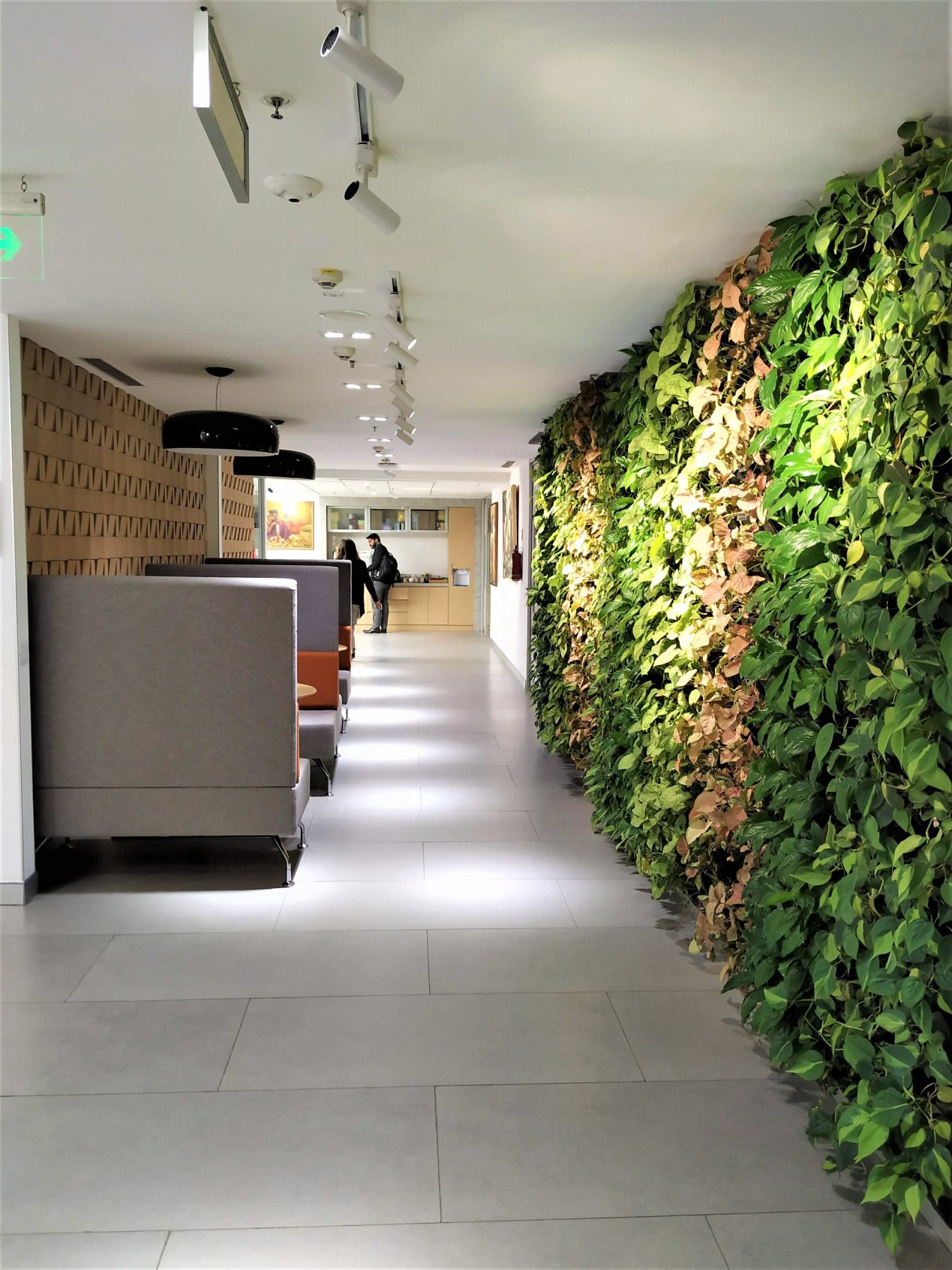 IFC Terrace landscape, New Delhi